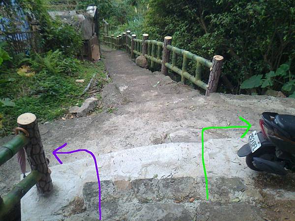 相片2261-2 相片2261-2