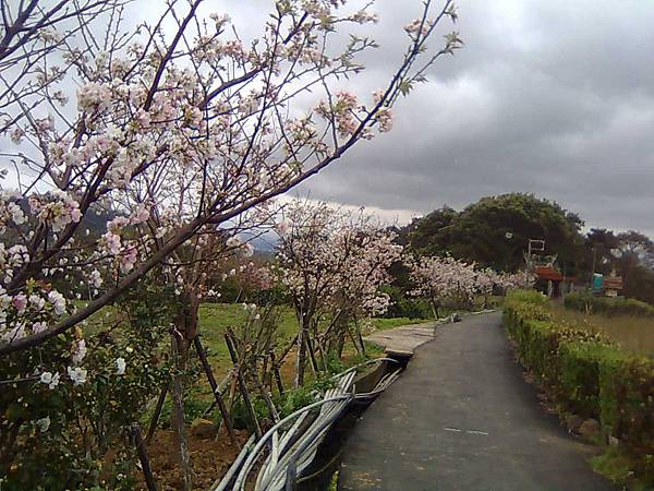 影像6468 影像6468