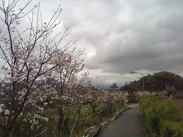 影像6464 影像6464