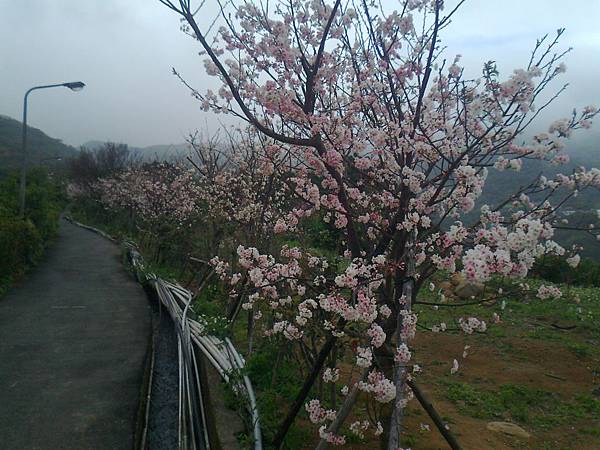 相片2232 相片2232