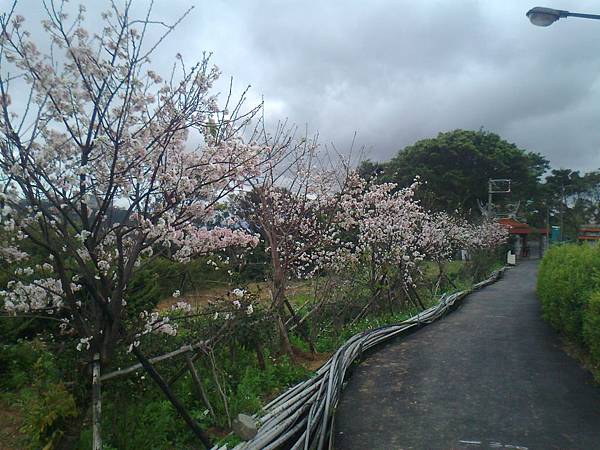 相片2233 相片2233