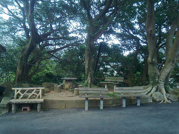 相片2236 相片2236