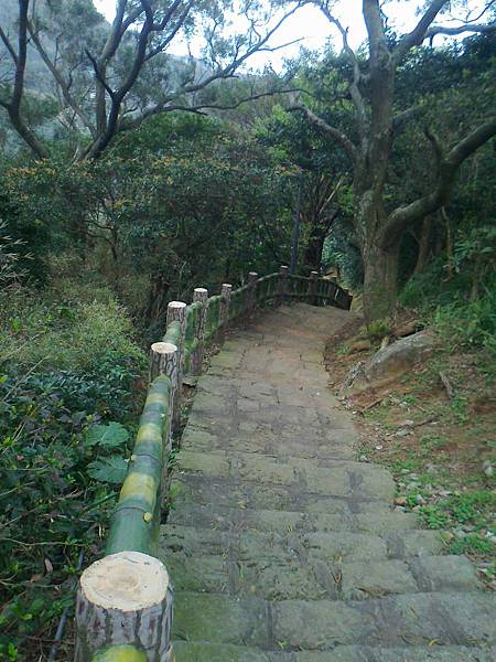 相片2240 相片2240