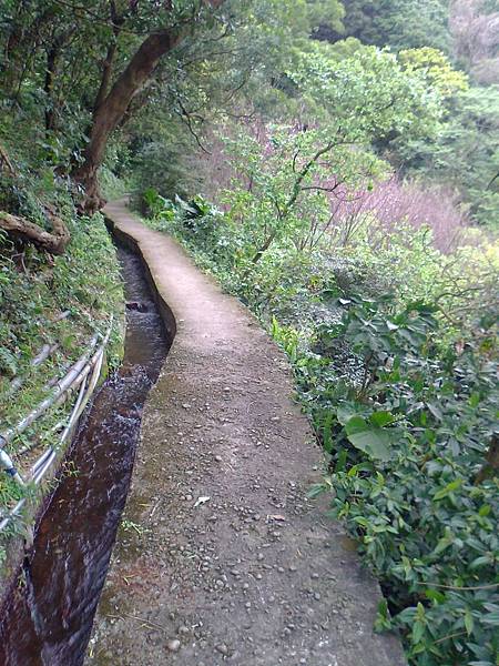 相片2246 相片2246