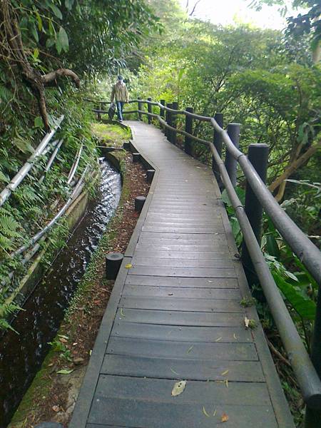 相片2247 相片2247