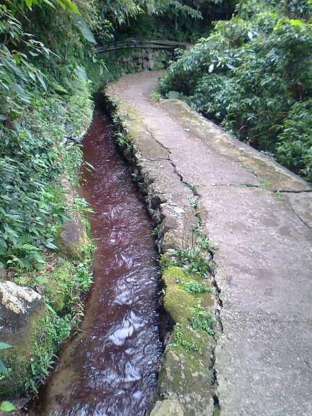 相片2249 相片2249