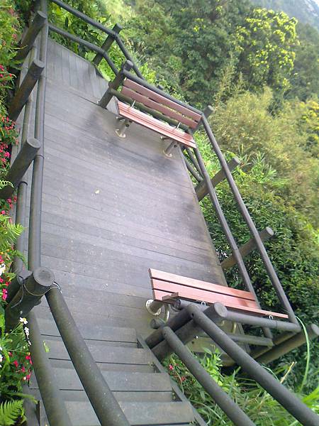 相片2252 相片2252