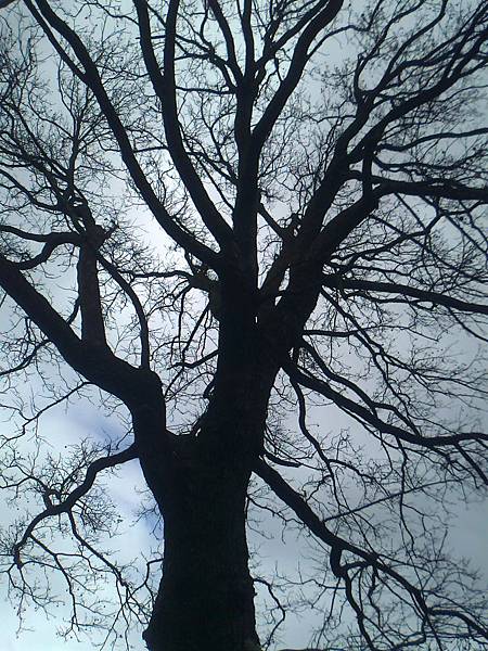 相片2254 相片2254