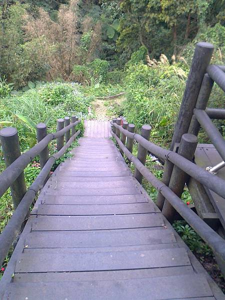 相片2255 相片2255