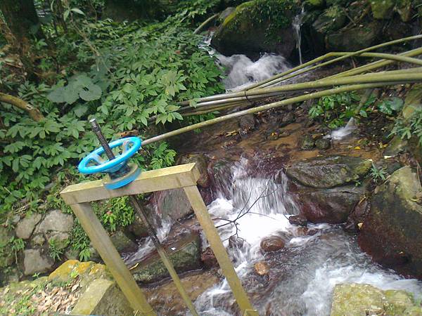 相片2256 相片2256