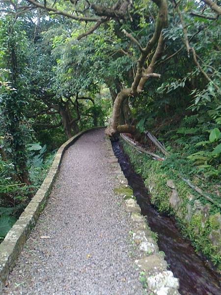 相片2257 相片2257