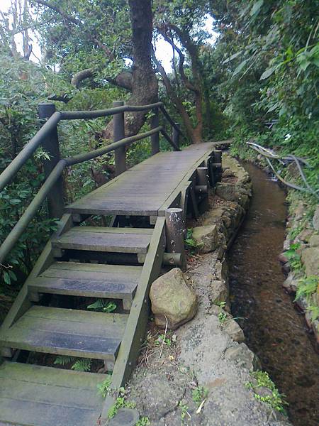 相片2258 相片2258