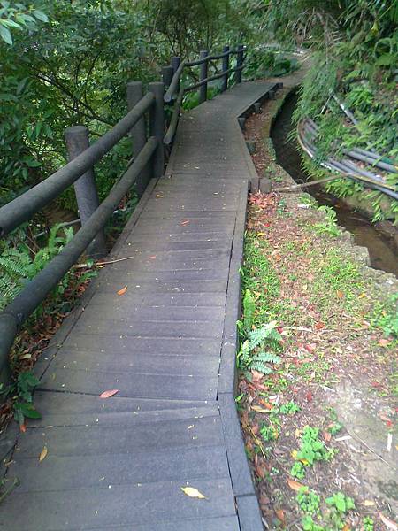 相片2260 相片2260