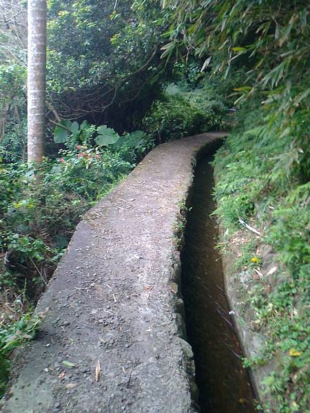 相片2262 相片2262