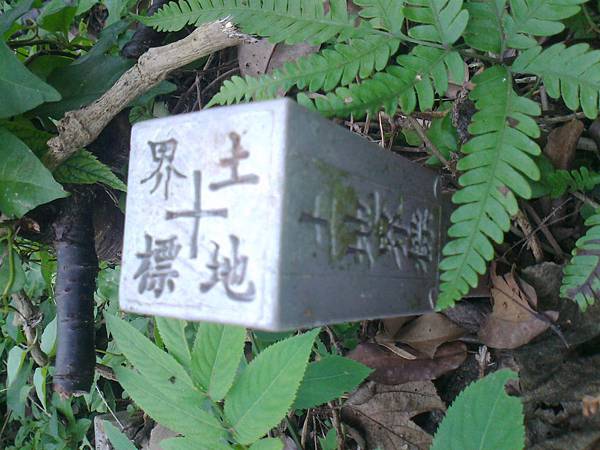 相片2264 相片2264