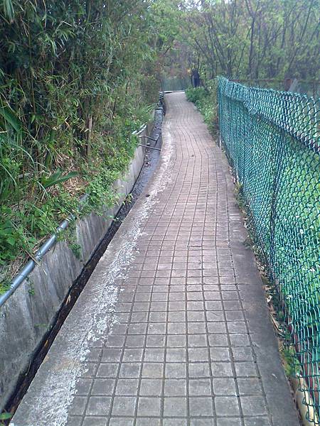 相片2271 相片2271