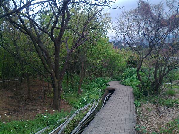 相片2272 相片2272