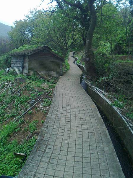 相片2273 相片2273