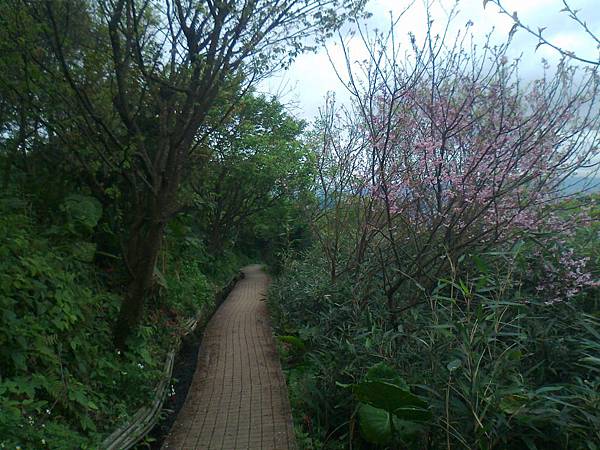 相片2279 相片2279