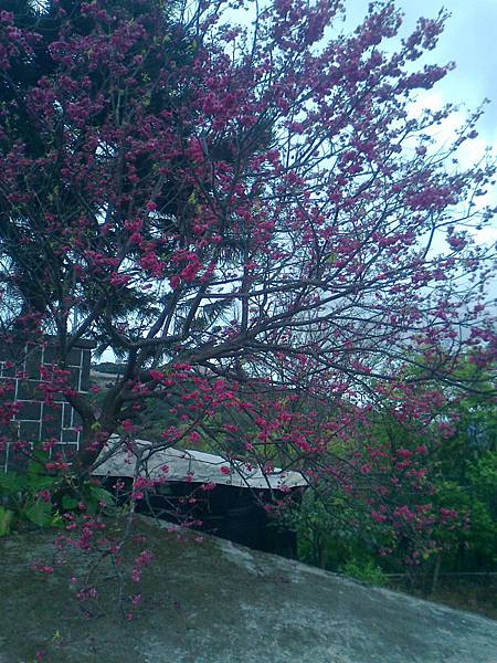 相片2280 相片2280