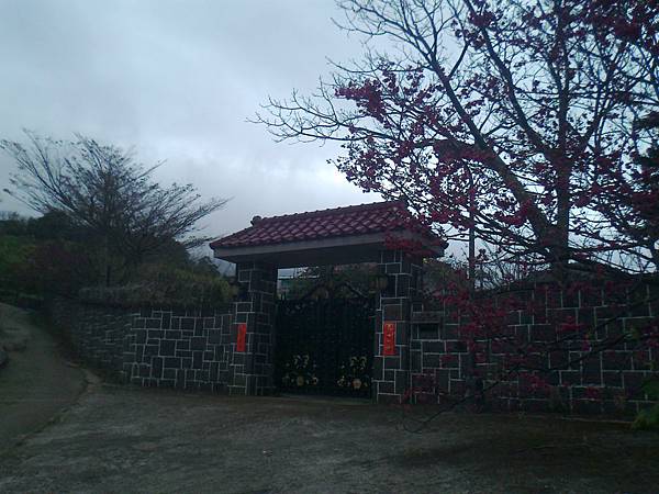 相片2282 相片2282