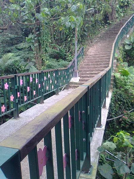 相片2292 相片2292