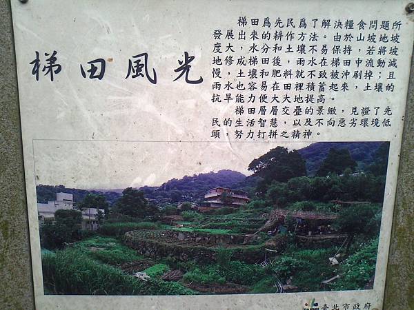 相片2296 相片2296