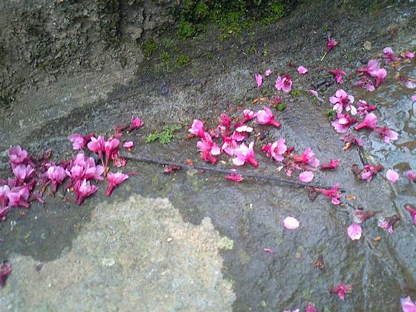 相片2298 相片2298