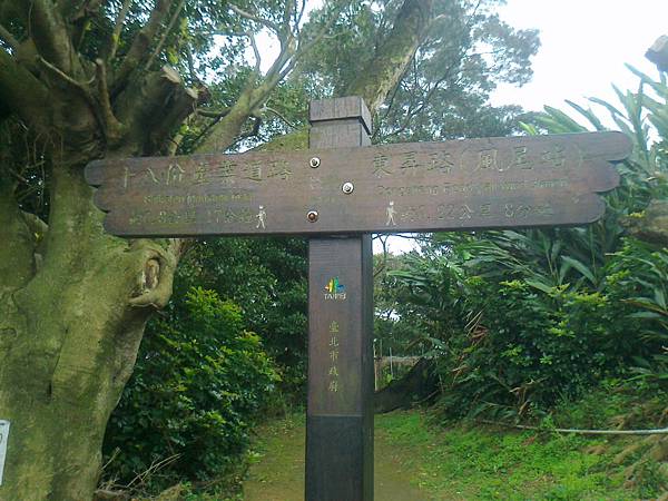 相片2303 相片2303