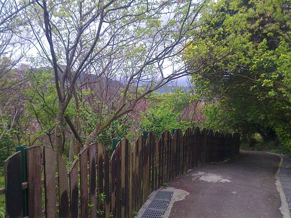 相片2305 相片2305