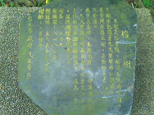 相片2308 相片2308