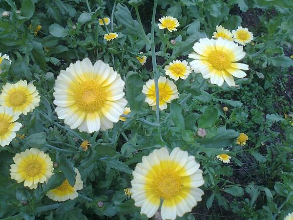 相片2311 相片2311