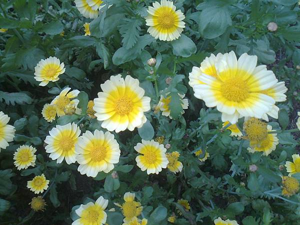 相片2312 相片2312