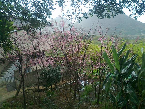 相片2313 相片2313