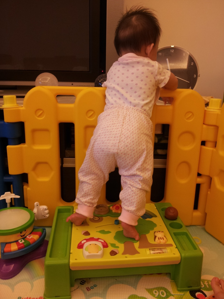 20120628_113108 20120628_113108