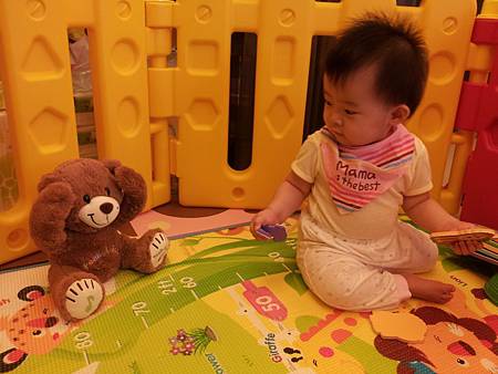 20120816_113655 20120816_113655