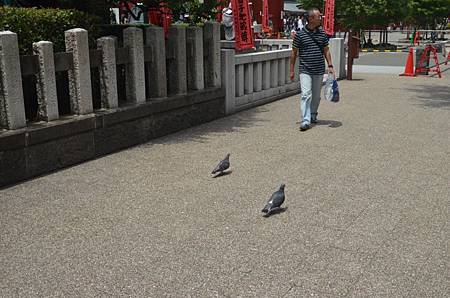 DSC_0175.JPG DSC_0175.JPG