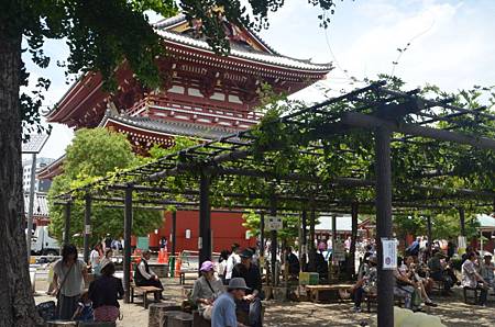 DSC_0191.JPG DSC_0191.JPG