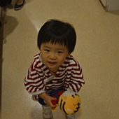 DSC_0781.JPG DSC_0781.JPG