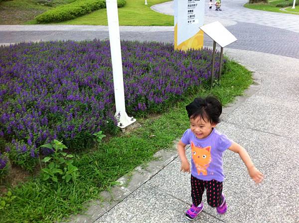 IMG_7134.JPG IMG_7134.JPG