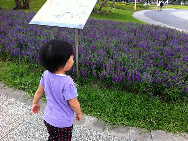 IMG_7132.JPG IMG_7132.JPG