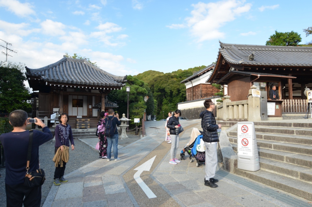 DSC_0978.JPG DSC_0978.JPG