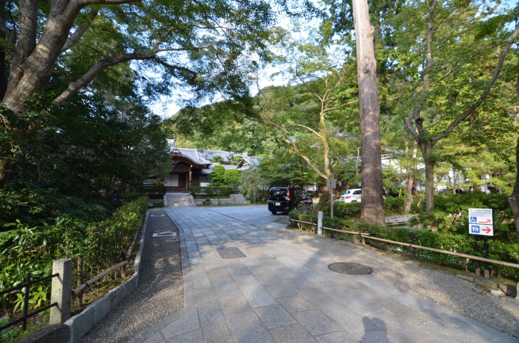 DSC_0006.JPG DSC_0006.JPG