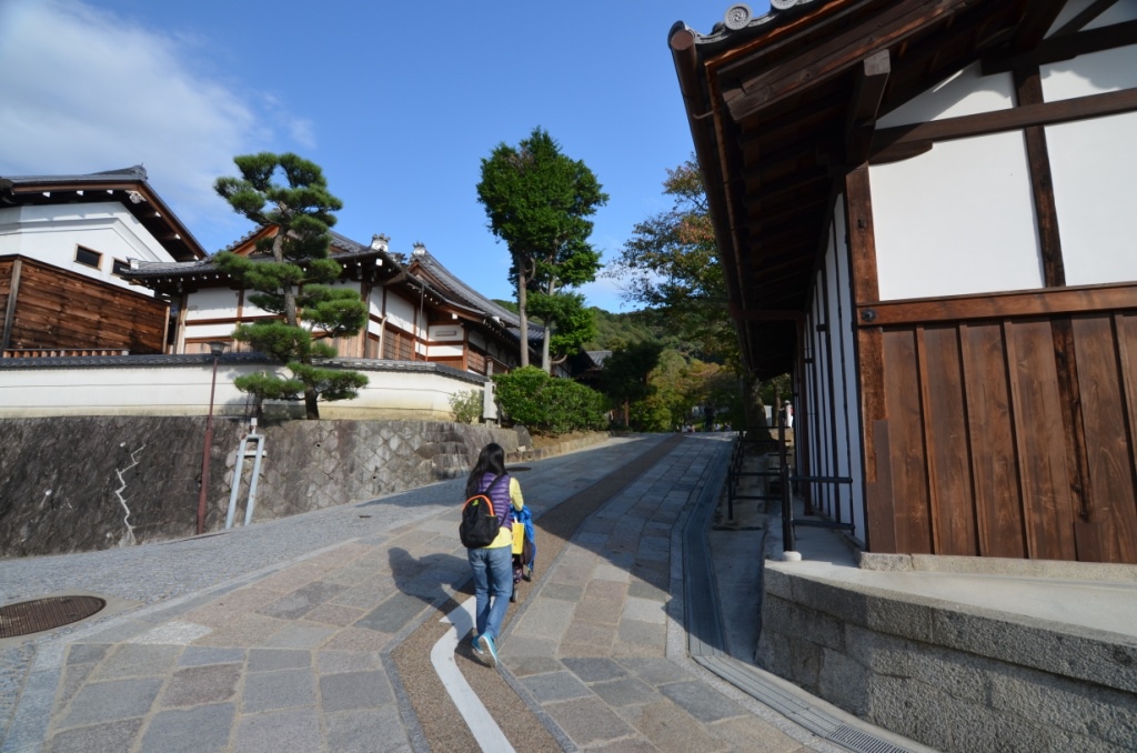 DSC_0986.JPG DSC_0986.JPG