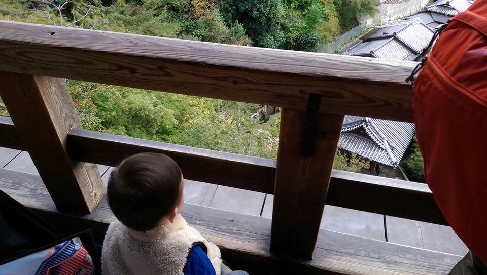 10626774_779064168827842_1650278199464897120_n.jpg 10626774_779064168827842_1650278199464897120_n.jpg