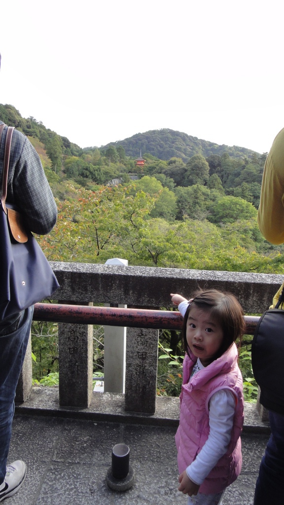 DSC01341.JPG DSC01341.JPG