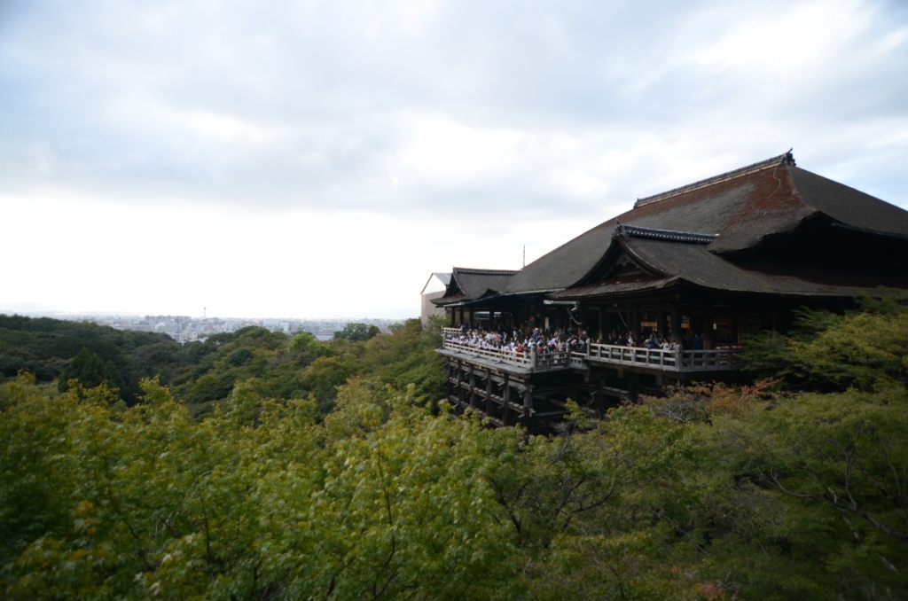 DSC_0051.JPG DSC_0051.JPG