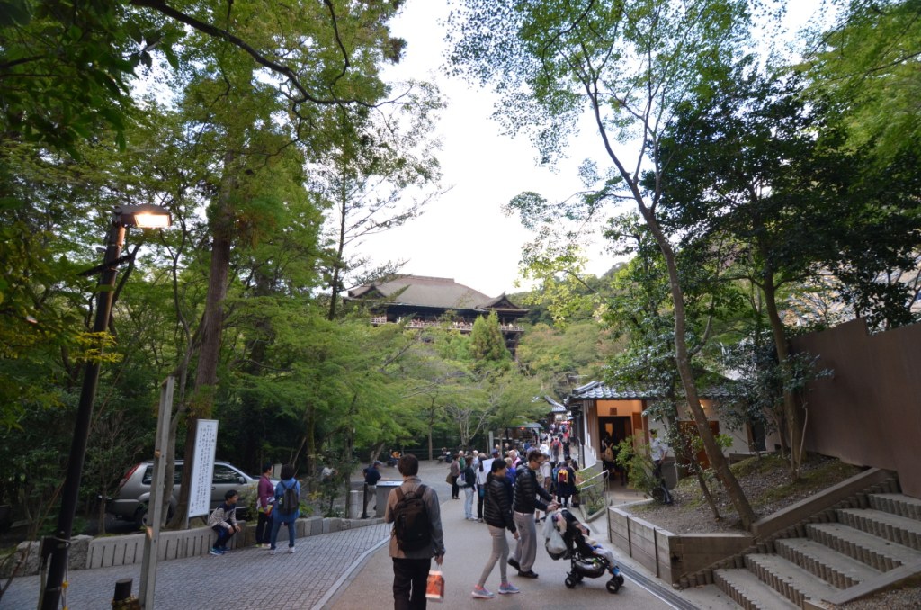 DSC_0072.JPG DSC_0072.JPG