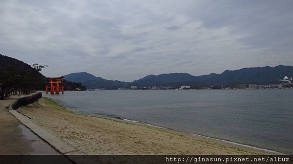 IMG_1077.JPG IMG_1077.JPG