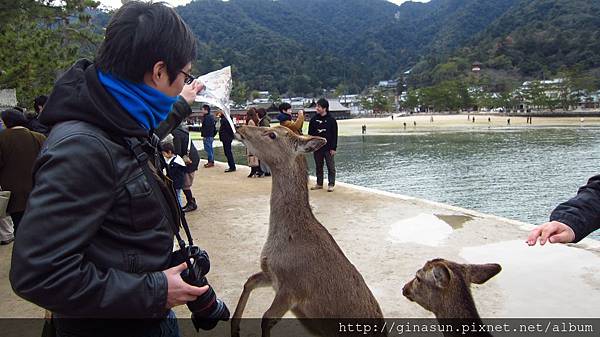 IMG_1088.JPG IMG_1088.JPG